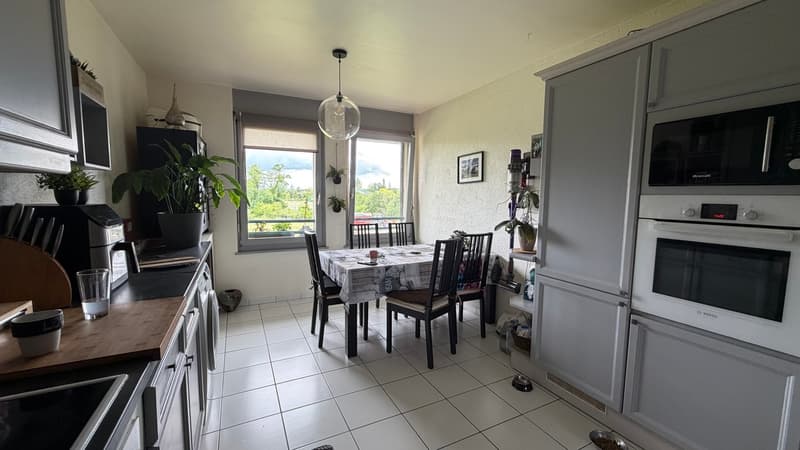 Attique en duplex avec vue dégagée sur la campagne (6)