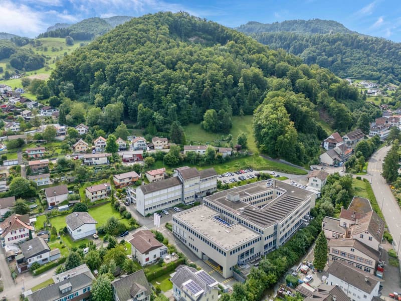 Surroundings of a building in a residential area with mountains in the background