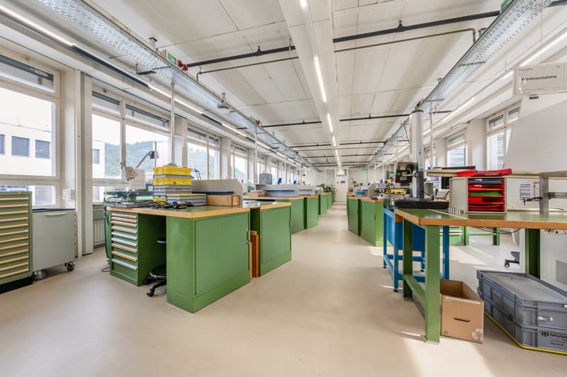 Rows of green desks, large windows, bright fluorescent lighting, office equipment, cabinets, cardboard boxes