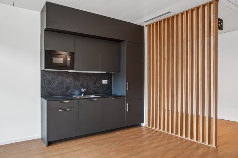 Bureaux à louer dès 107 m2 sur le site de Terre Bonne (3)