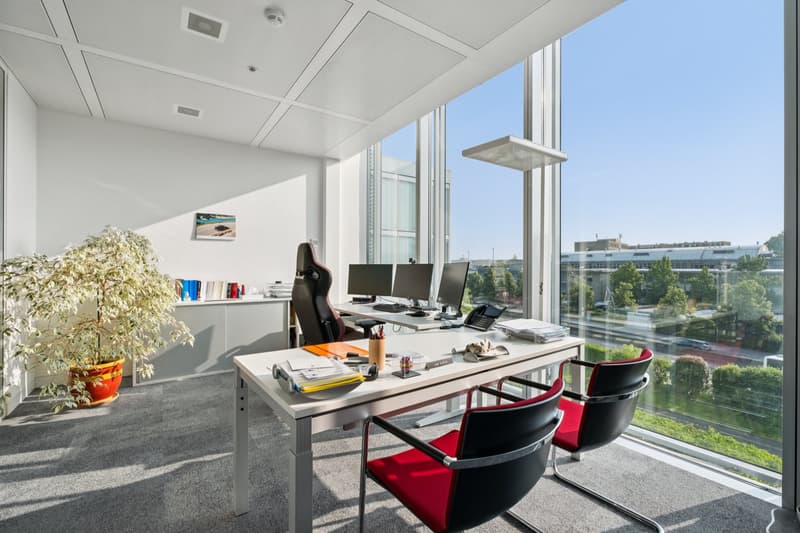 Lancy - bureaux modernes aménagés (6)