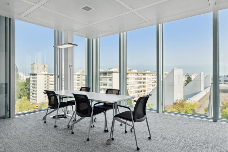 Lancy - bureaux modernes aménagés (3)