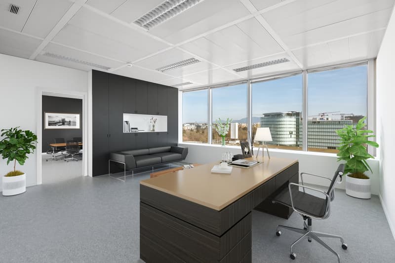 A louer - Lumineux bureaux plug and play (5)