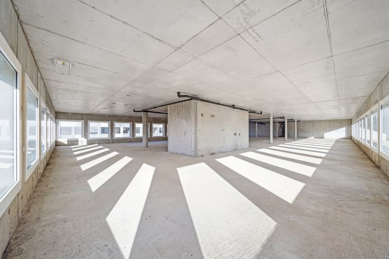 Surfaces de bureaux à louer au Biopole (6)