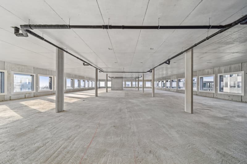 Surfaces de bureaux à louer au Biopole (3)