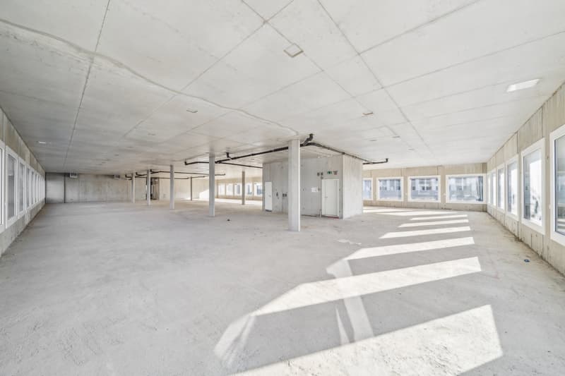 Surfaces de bureaux à louer au Biopole (5)
