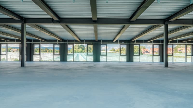 Surfaces mixtes à louer entre Genève et Lausanne à Tolochenaz (4)