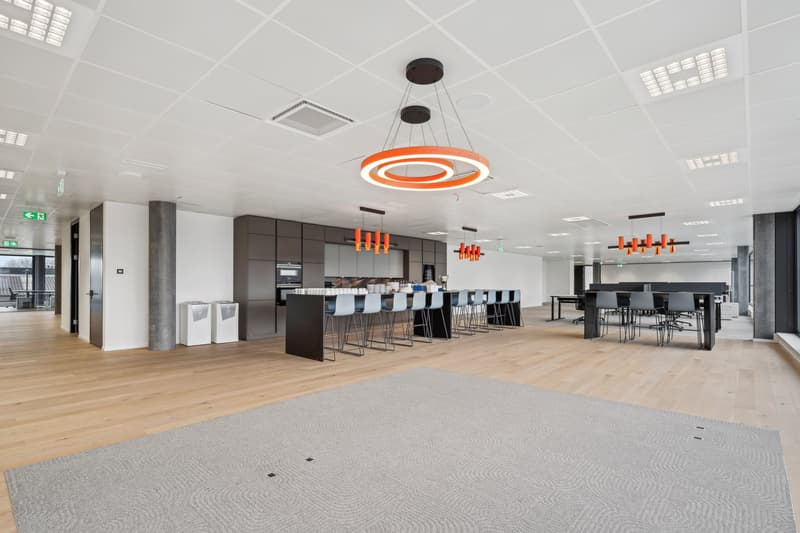 Bureaux modernes aménagés à louer (6)