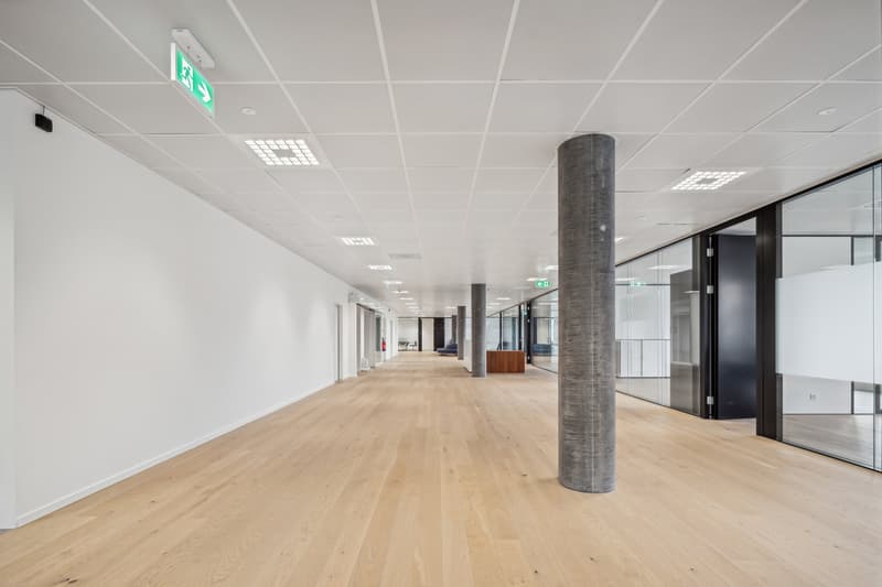 Bureaux modernes aménagés à louer (7)