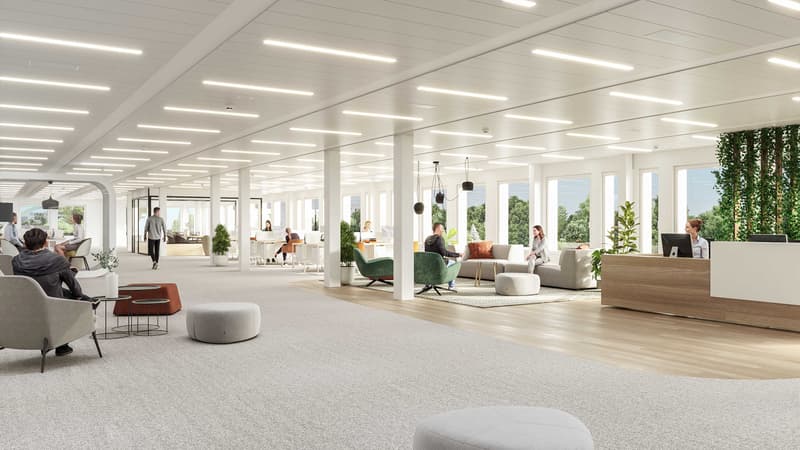 Bureaux à louer au coeur d'un environnement unique à Lancy (7)