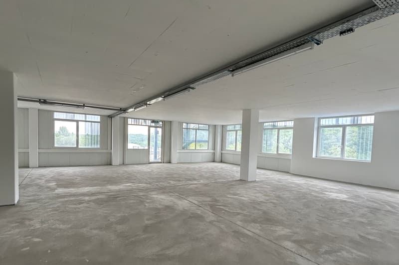 Surfaces mixtes à louer à Satigny (2)