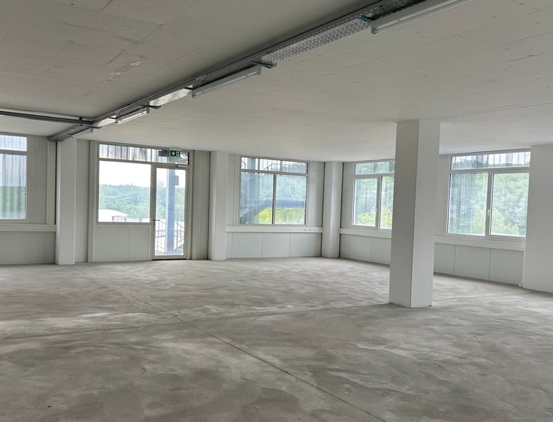 Surfaces mixtes à louer à Satigny (3)