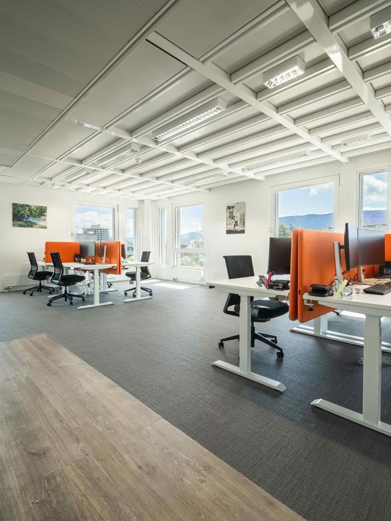 Bureaux à louer au coeur d'un environnement unique à Lancy (6)