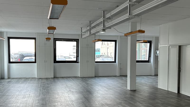 Surfaces mixtes à louer - Satigny - Dès 200 m2 (3)