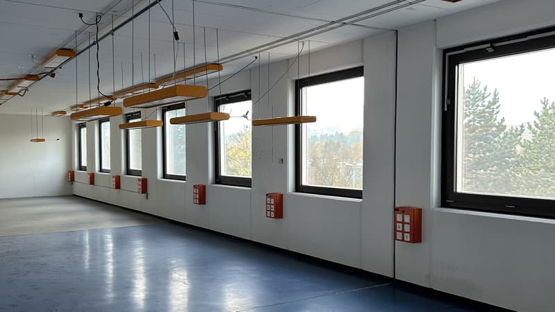 Surfaces mixtes à louer - Satigny - Dès 200 m2 (5)