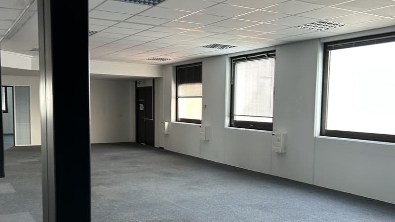 Surfaces mixtes à louer - Satigny - Dès 200 m2 (6)