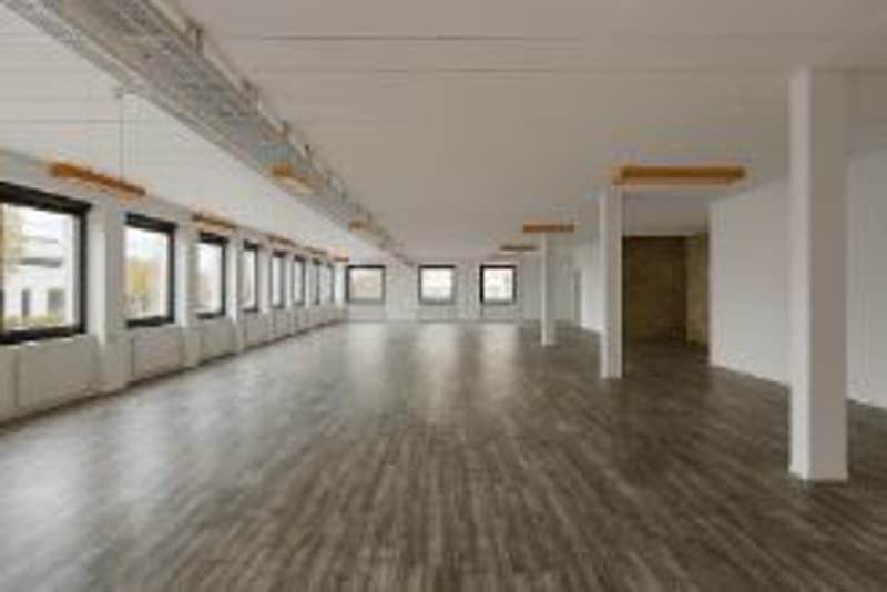 Surfaces mixtes à louer - Satigny - Dès 200 m2 (2)
