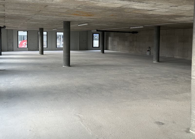 Surface administrative ou light industriel à louer  - Meyrin - Dès 180 m2 (3)