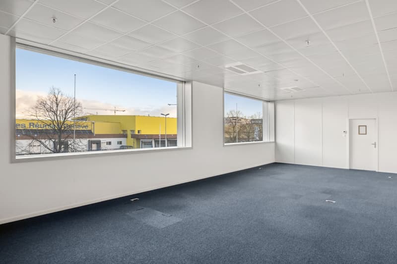 Surfaces mixtes à louer - Plan-les-Ouates - Dès 381 m2 - Immeuble moderne (8)