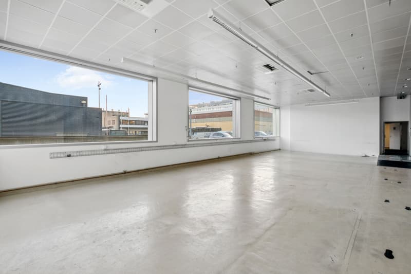 Surfaces mixtes à louer - Plan-les-Ouates - Dès 381 m2 - Immeuble moderne (5)