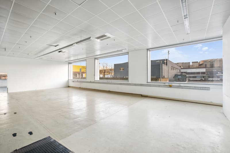Surfaces mixtes à louer - Plan-les-Ouates - Dès 381 m2 - Immeuble moderne (4)