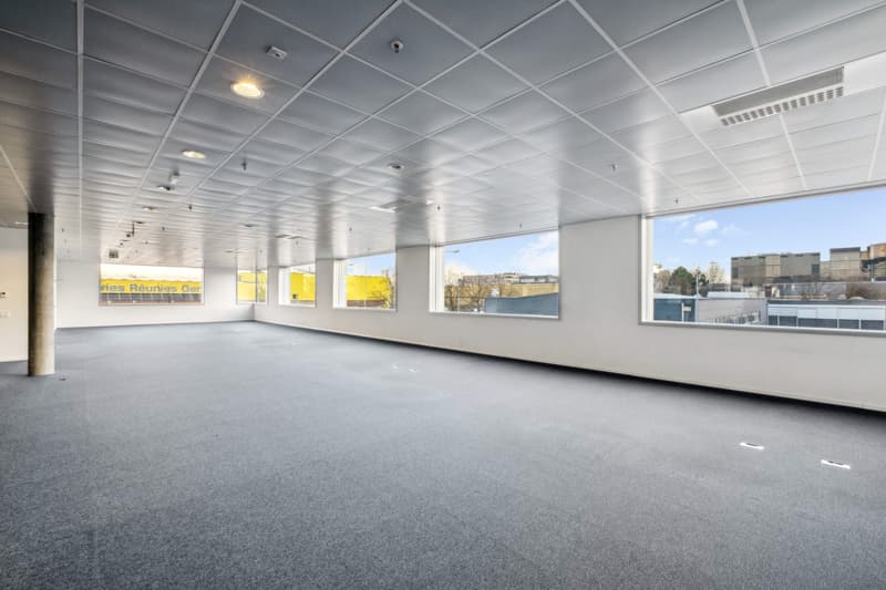 Surfaces mixtes à louer - Plan-les-Ouates - Dès 381 m2 - Immeuble moderne (7)