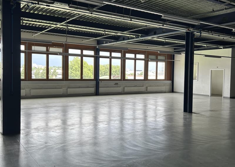 Surfaces industrielles/administratives à louer - Carouge (secteur Stade) - Dès 103 m2 (4)
