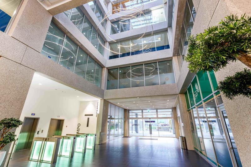 Surfaces disponibles dans un immeuble récent de standing - Plan-les-Ouates - Dès 250 m2 (3)