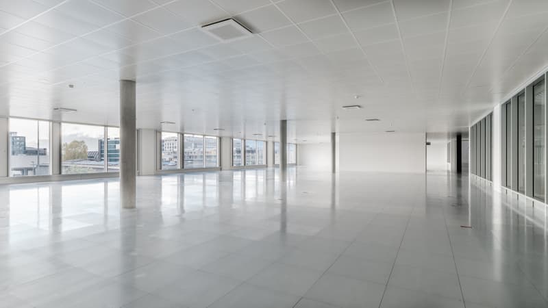 Surfaces disponibles dans un immeuble récent de standing - Plan-les-Ouates - Dès 250 m2 (6)