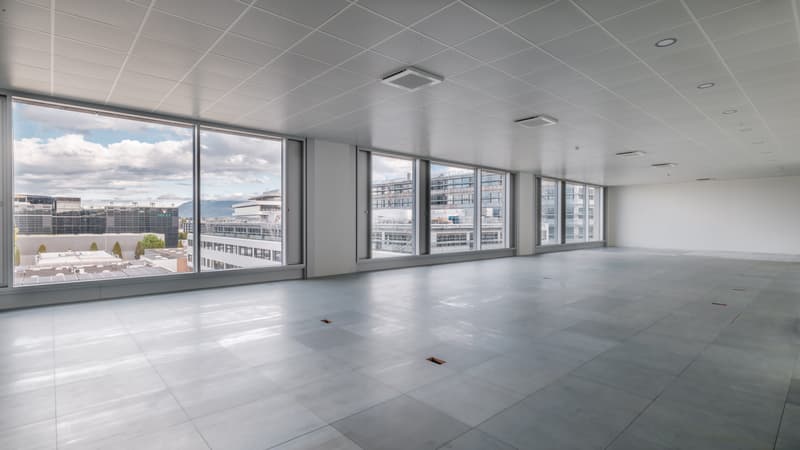Surfaces disponibles dans un immeuble récent de standing - Plan-les-Ouates - Dès 250 m2 (5)