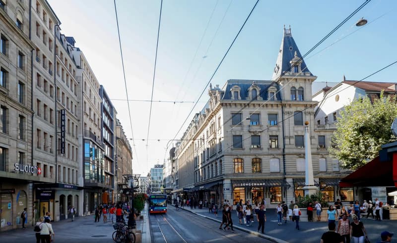 Exclusif, bâtiment indépendant et aménagé de haut standing à louer au centre ville de Genève (2)