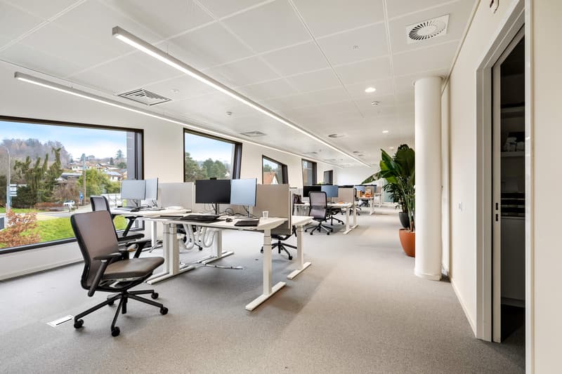 Bureaux aménagés à louer - Biopôle - divisible vue lac (2)