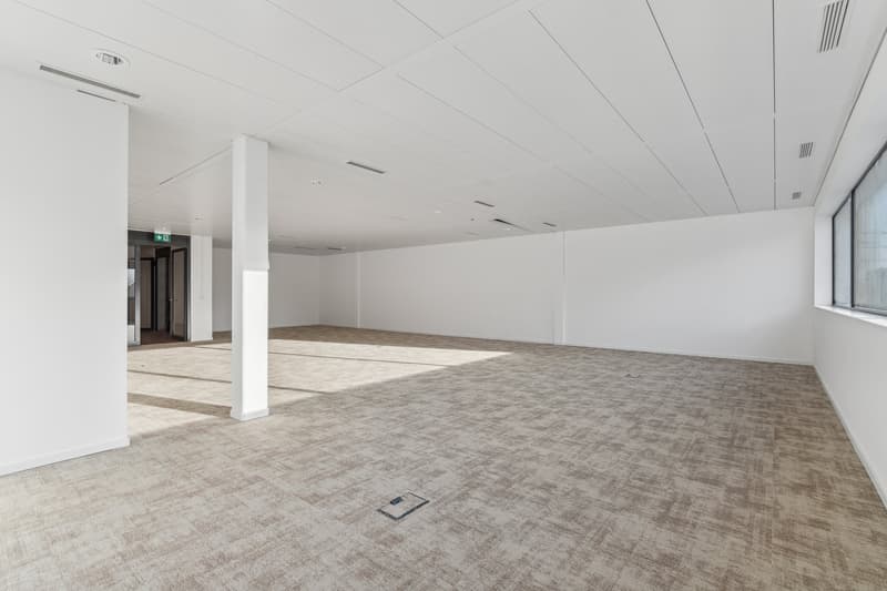 Bureaux aménagés - Terre-Bonne à Eysins - bâtiment moderne et flexible (5)