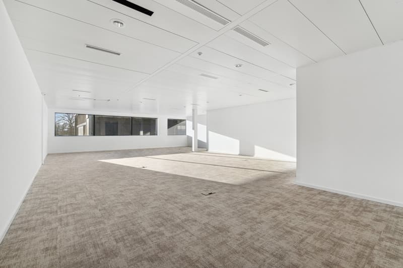 Bureaux aménagés - Terre-Bonne à Eysins - bâtiment moderne et flexible (4)
