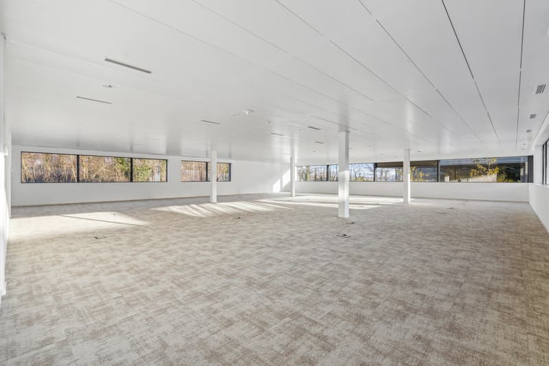 Bureaux aménagés - Terre-Bonne à Eysins - bâtiment moderne et flexible (8)