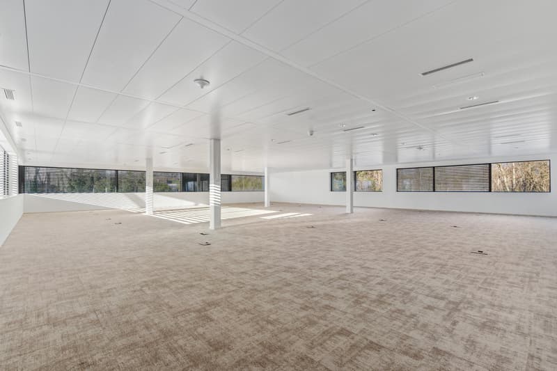 Bureaux aménagés - Terre-Bonne à Eysins - bâtiment moderne et flexible (6)