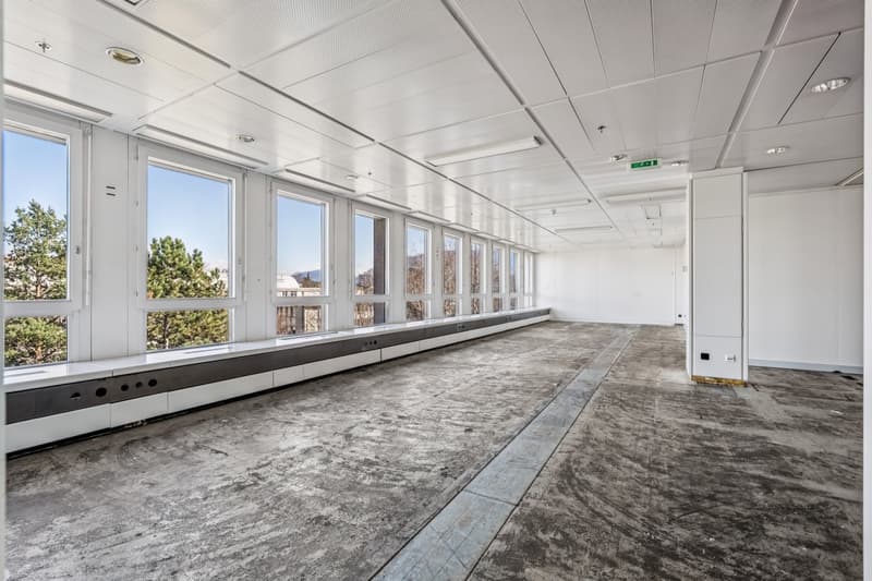 Bureaux efficient dans un immeuble avec services – Lancy (7)