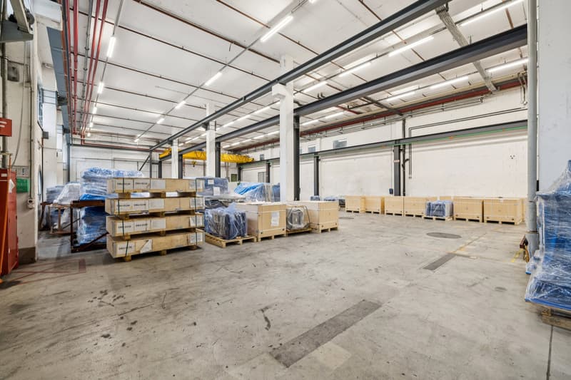 Surface industrielle à louer – Satigny – Rue des Sablières 4–6 (3)