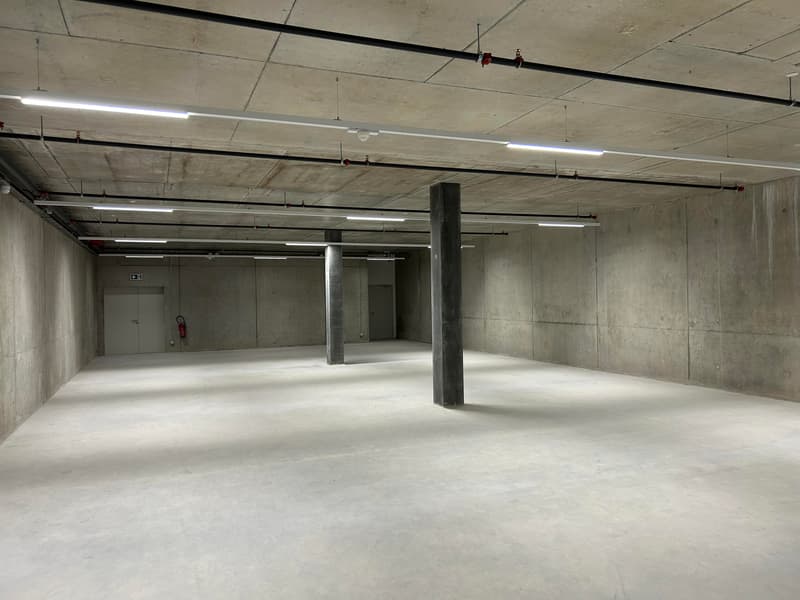 Surfaces de stockage sécurisées et modulables à louer à Versoix (4)
