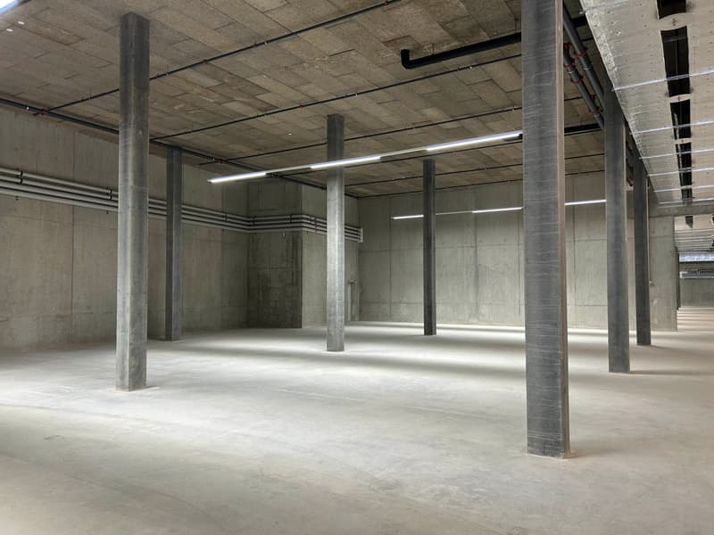 Surfaces de stockage sécurisées et modulables à louer à Versoix (3)