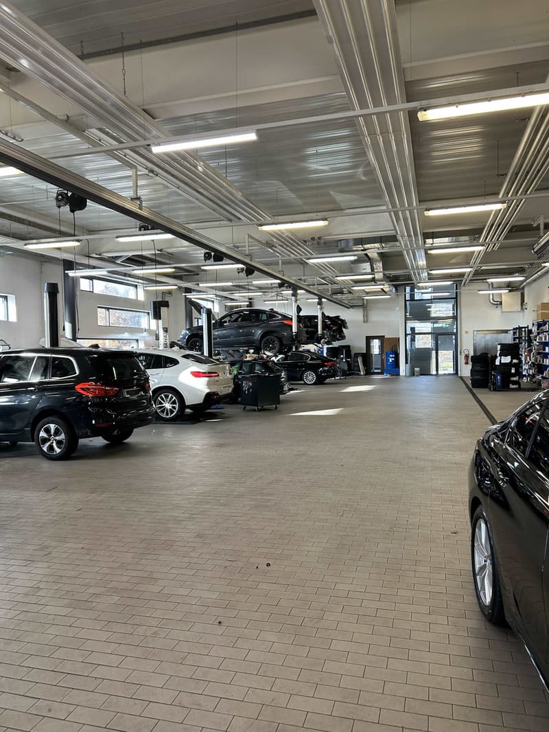 Showroom & ateliers à louer  Meyrin  3000 m²  Visibilité exceptionnelle & parkings (4)