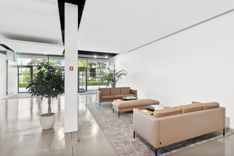 Bureaux de prestige à louer - avenue de Rhodanie à Lausanne - 280m2 lumineux (3)