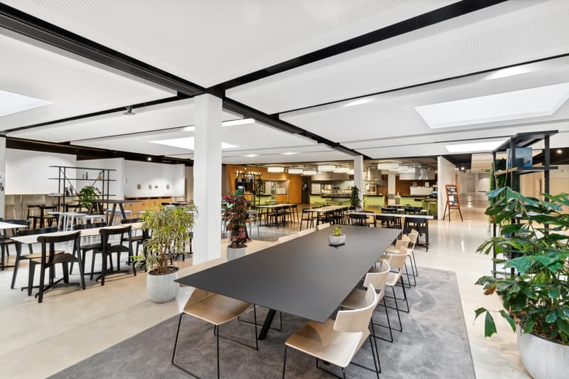 Bureaux de prestige à louer - avenue de Rhodanie à Lausanne - 280m2 lumineux (4)