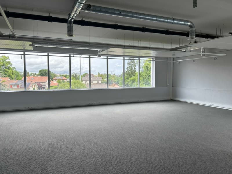 Surface polyvalente de 700 m² à louer| Bureaux & Activité Light Industrielle | Meyrin (2)