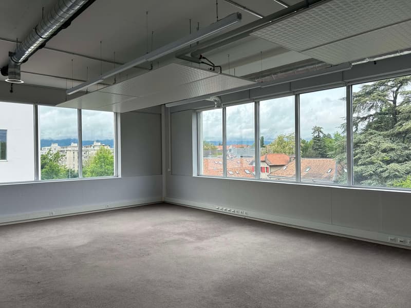Surface polyvalente de 700 m² à louer| Bureaux & Activité Light Industrielle | Meyrin (3)