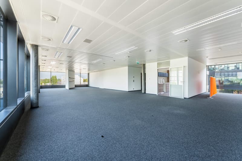 A louer, bureaux à Genève proche aéroport (7)