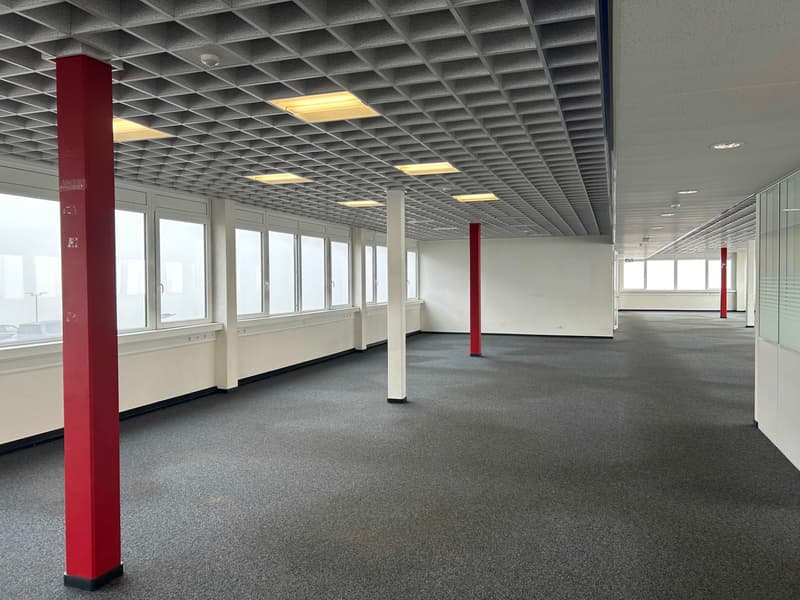 Bureaux/Atelier modernes à louer - Vernier - Dès 230 m2 - Plug & Play (5)
