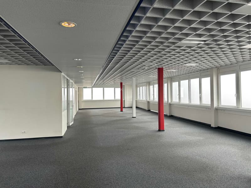 Bureaux/Atelier modernes à louer - Vernier - Dès 230 m2 - Plug & Play (2)