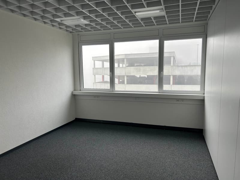 Bureaux/Atelier modernes à louer - Vernier - Dès 230 m2 - Plug & Play (4)