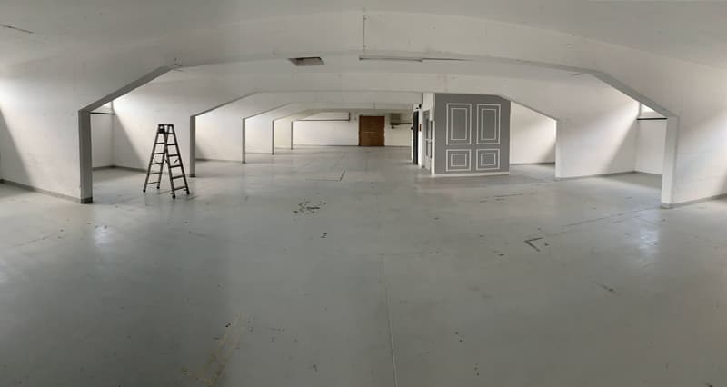 Atelier/dépôt de 650 m2 accès quai de chargement Bussigny à louer (1)